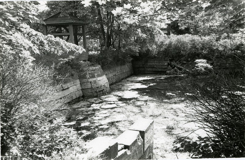 Tiik Randvere mõisa aias