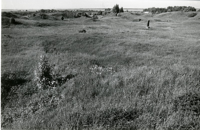 Muhu maalinn