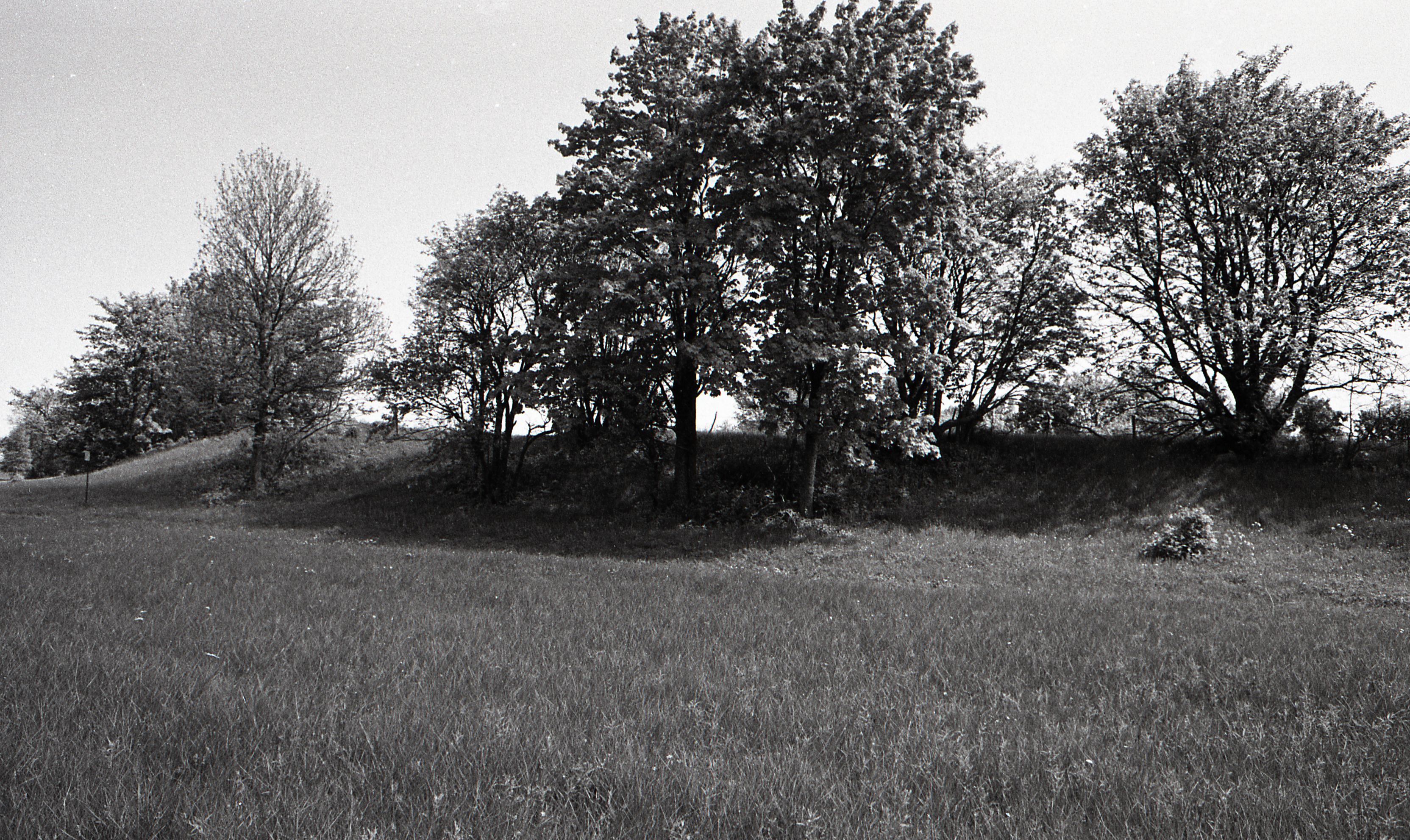 Asva kindlustatud asula