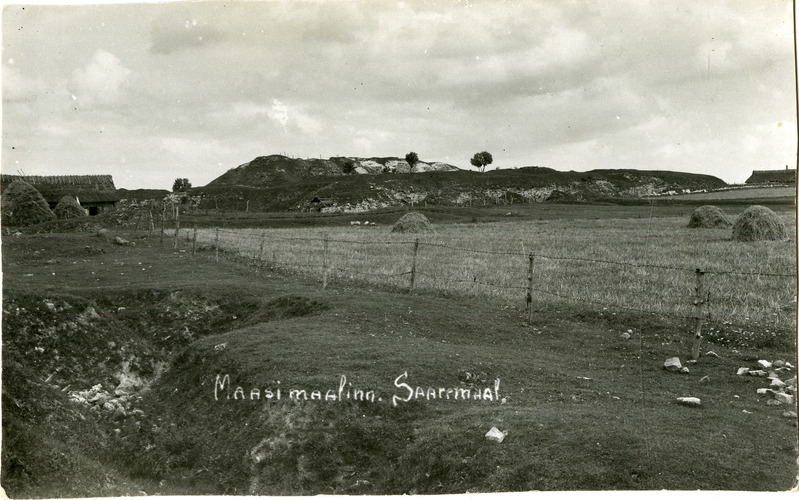 Maasi ordulinnuse varemed