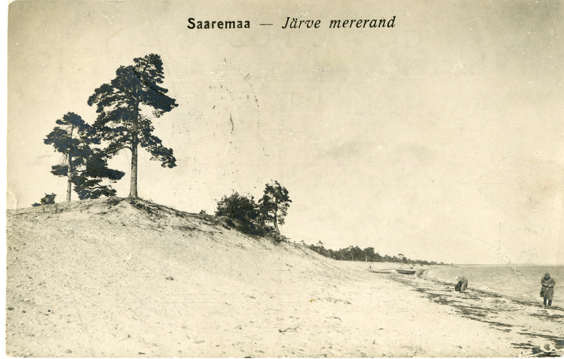 Järve rand