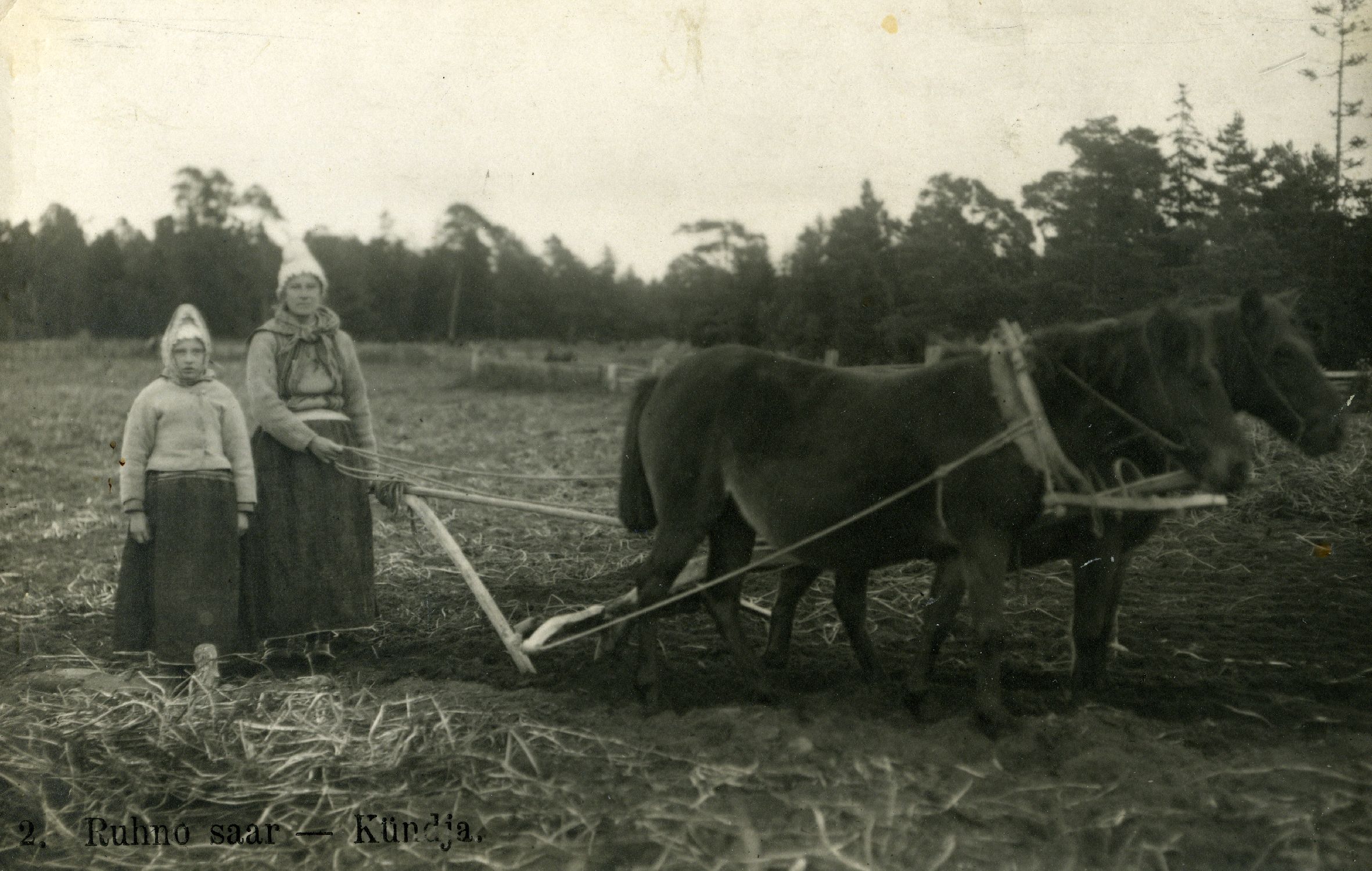 Ruhnu naine kündmas