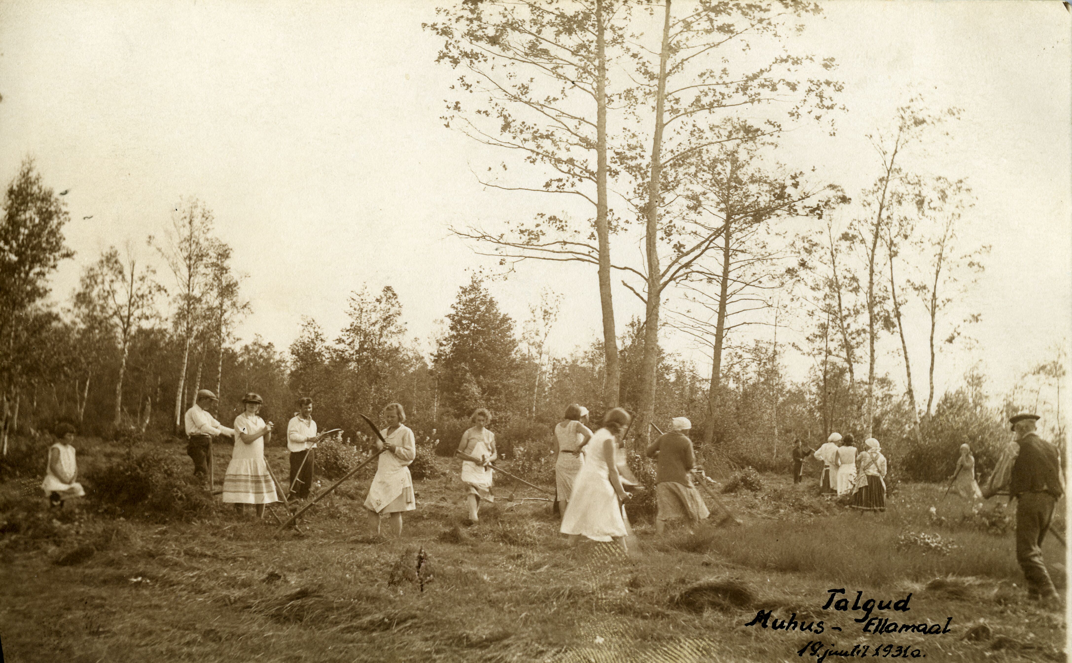 Heinaniitmistalgud Hellamaal