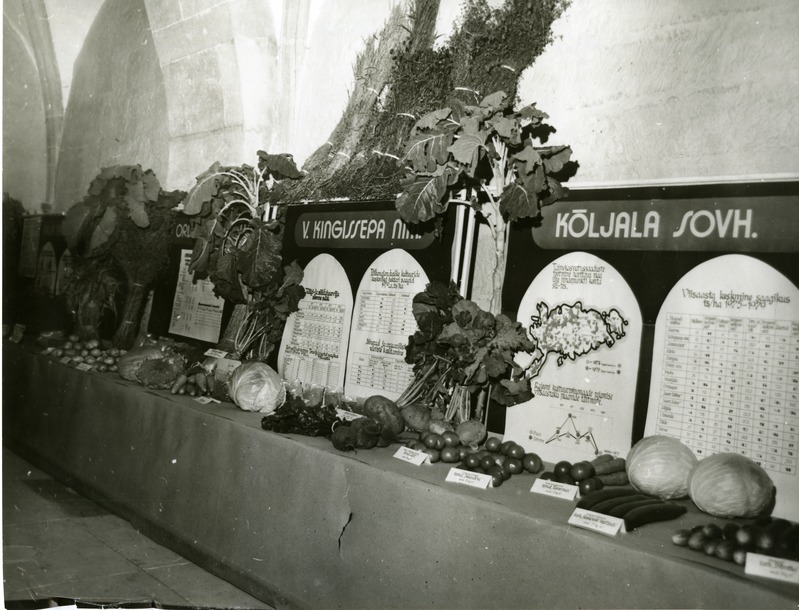 Põllumajanduse arengut tutvustav ekspositsioon Kingissepa rajooni rahvamajanduse saavutuste näitusel