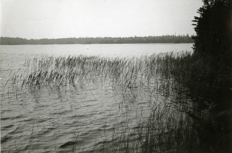 Sarapiku järv