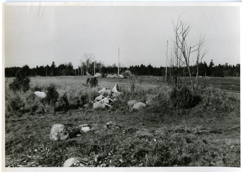 Kivikirstkalme Loona mõisast läänes