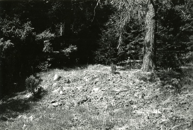 Kivikalme Kuremetsa külas