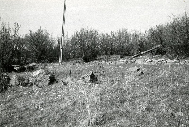 Kivikalmed Pidula mõisa juures