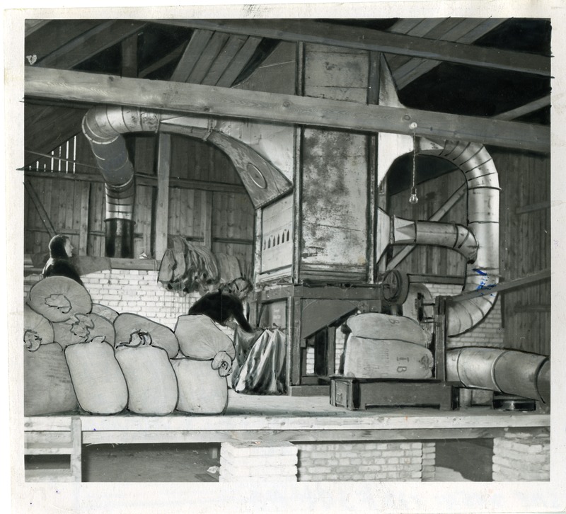 Lenini nimelise kolhoosi viljaveski