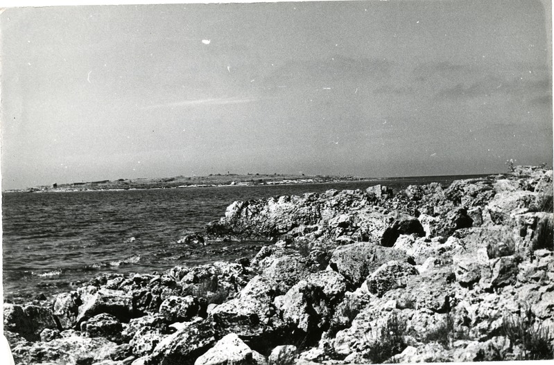 Vilsandi rannik