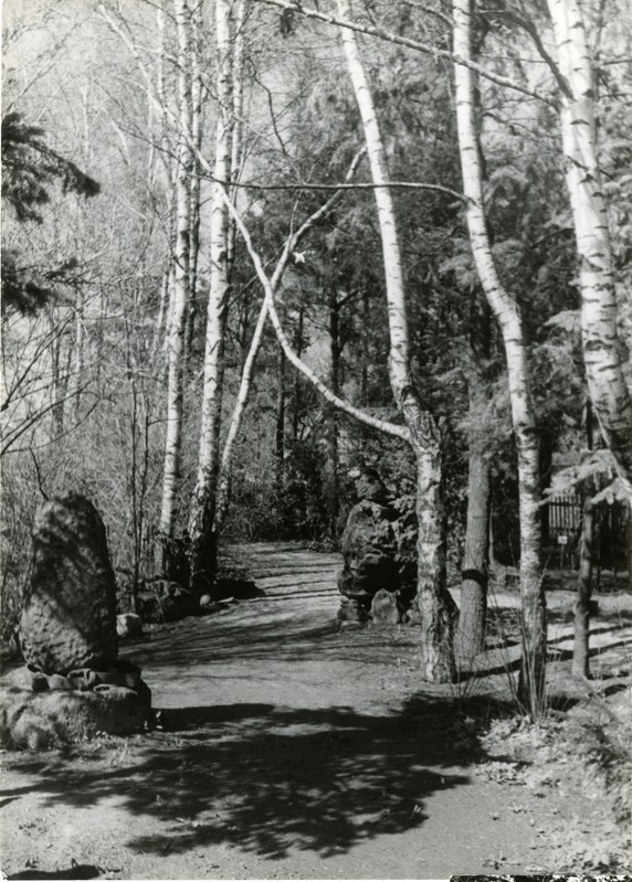 Mihkel Ranna dendraarium