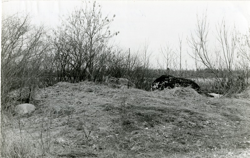 Kivikalme Ilpla küla Kaldjärve talu juures