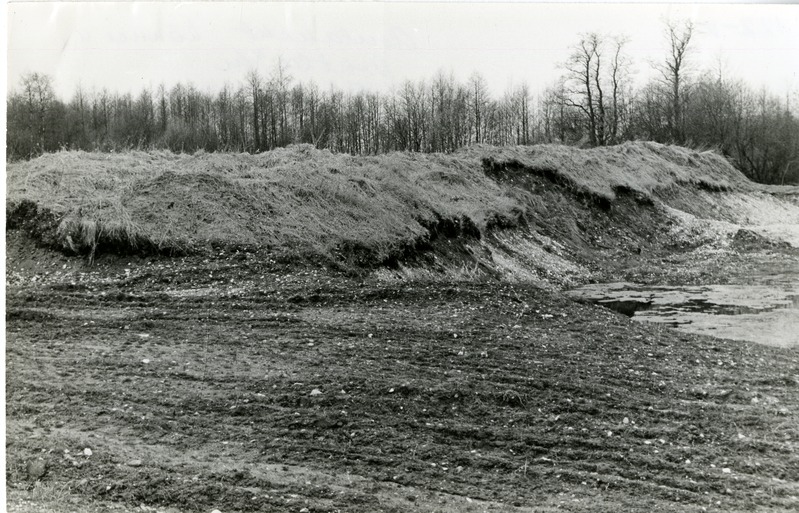 Asulakoht Kõnnu külas: vaade kagust