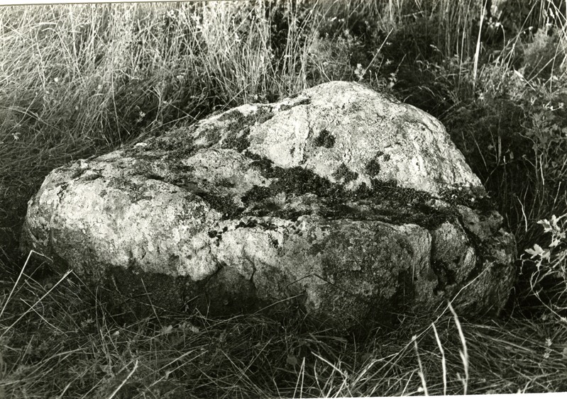 Kultusekivi Käo külas Kuuse talus