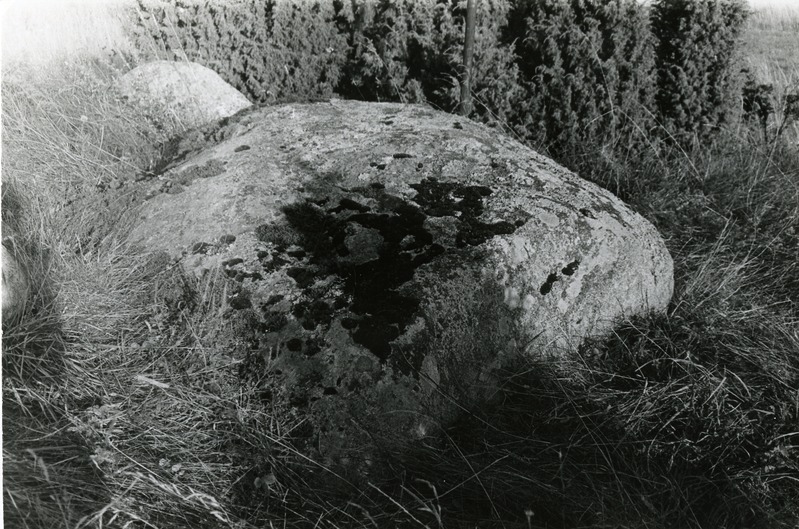 Kultusekivi Käo külas Käomäel