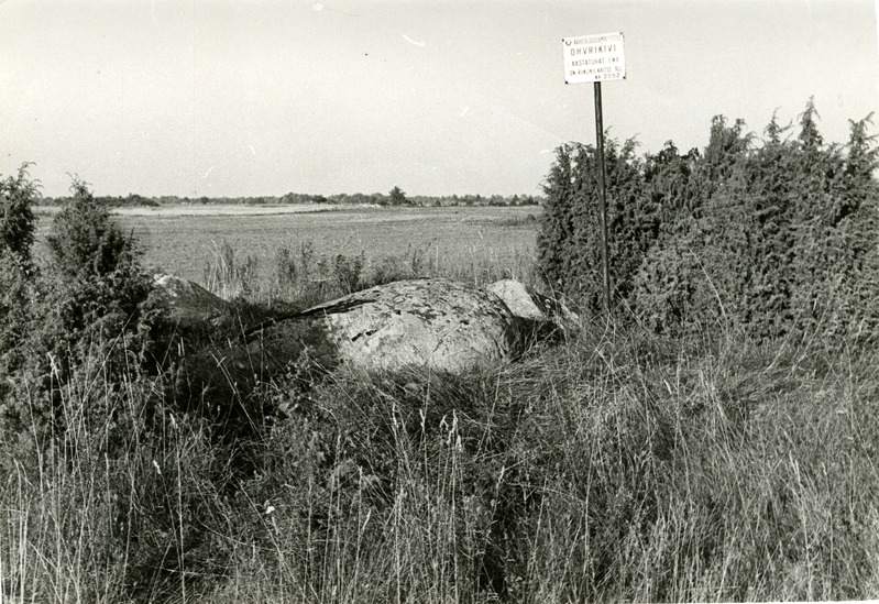 Kultusekivi Käo külas Käomäel