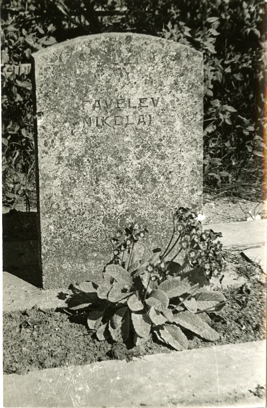 Nikolai Favelevi haud Tornimäe uuel kalmistul