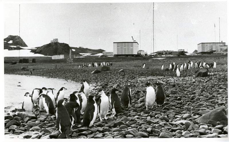 NSVLiidu Antarktika uurimisjaam Bellingshausen
