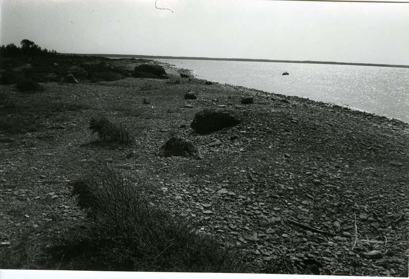 Kõinastu rand