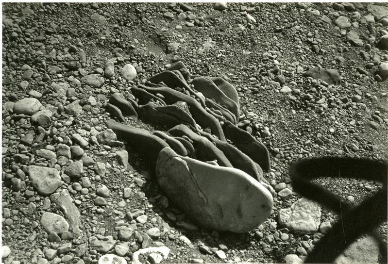 Rändpangas Kõinastu rannavallis