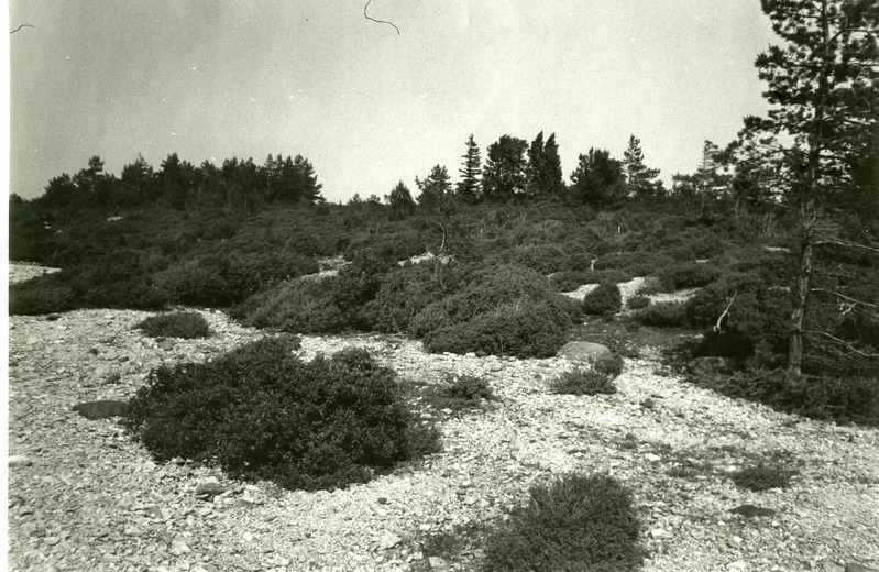 Klibuvallid Kõinastul