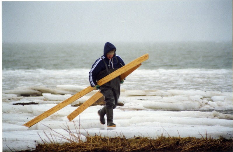 Randlane Saaremaa läänerannikule tormiga uhutud saematerjali korjamas