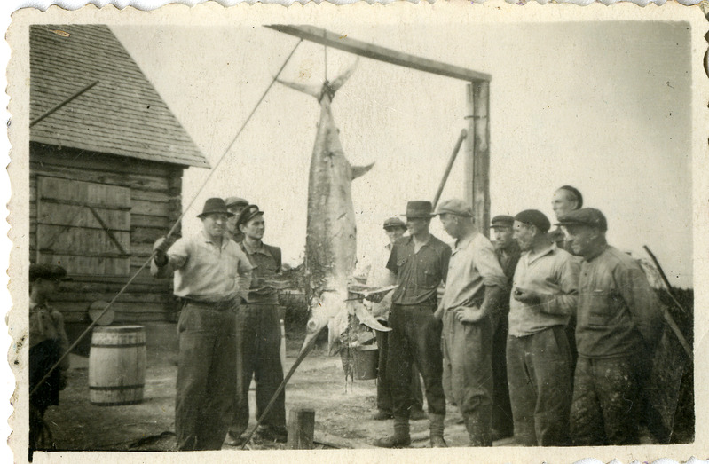 Kaavi rannas püütud mõõkkala
