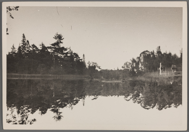 Pidula vesiveski tiik