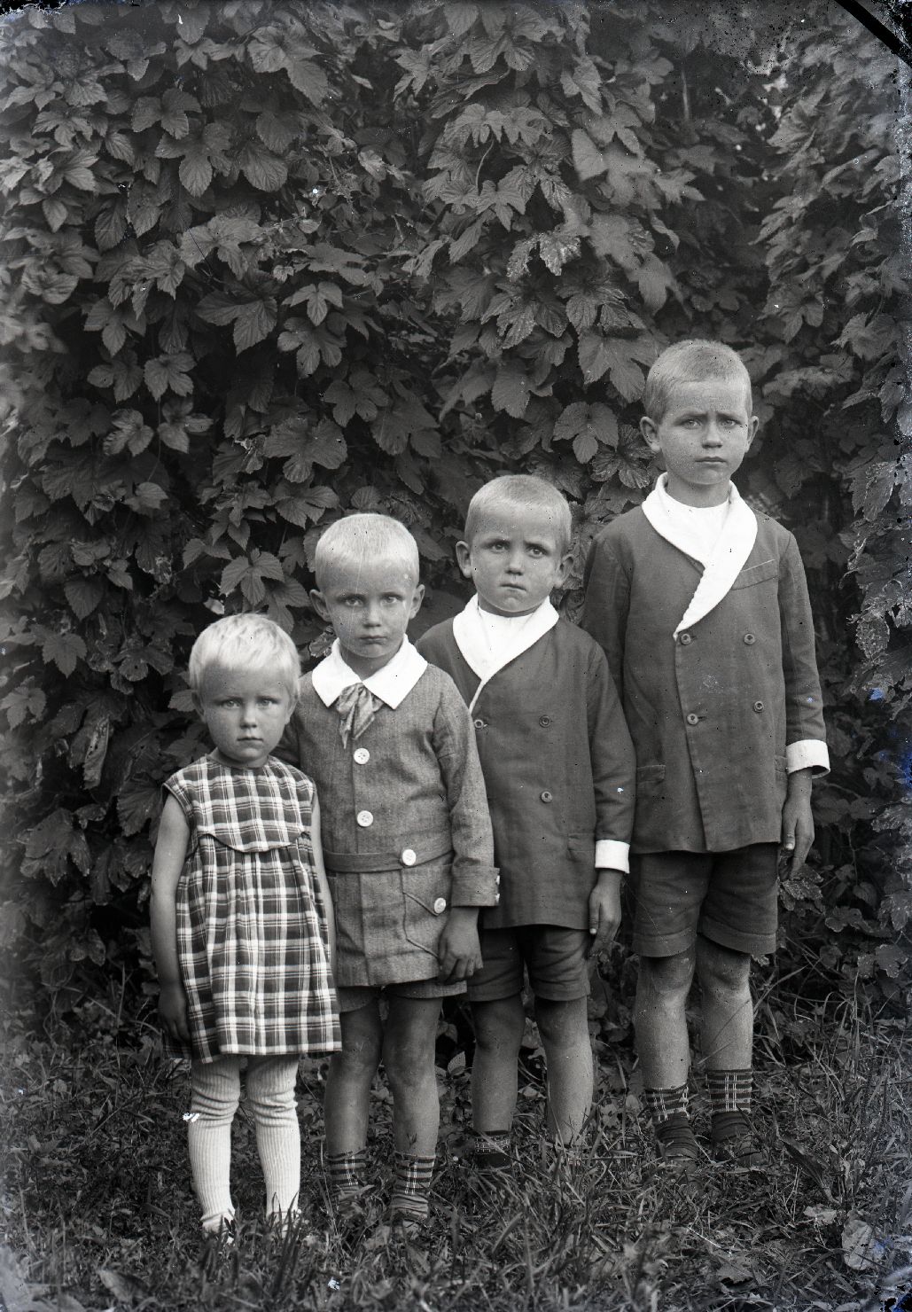 Saaremaa, Aleksei Tammlehe lapsed