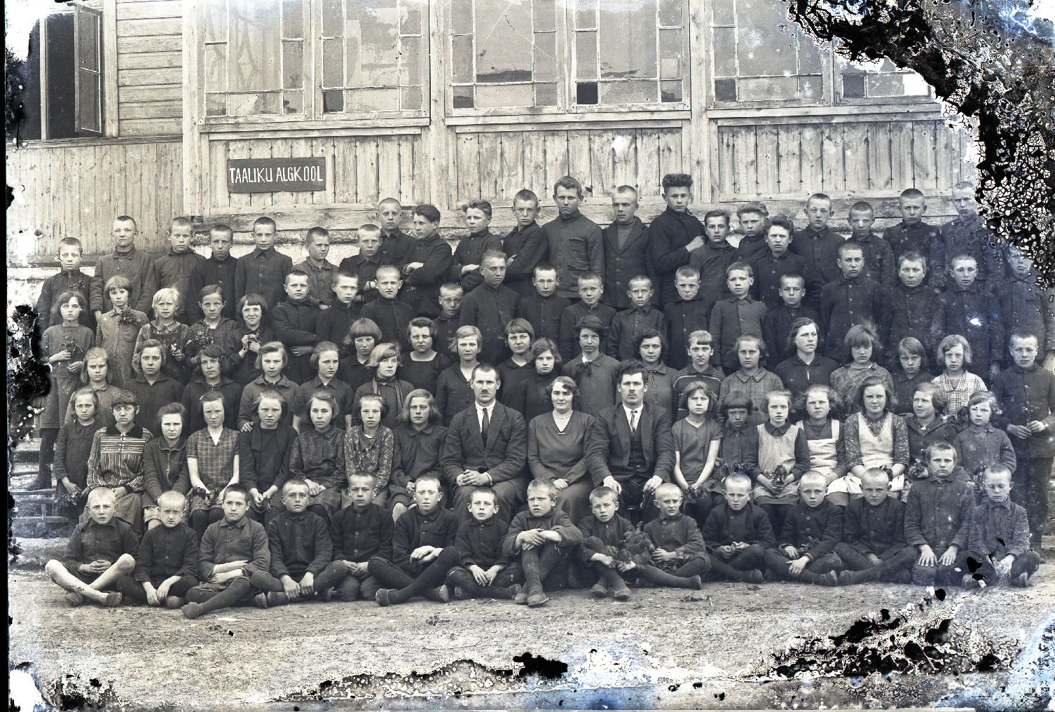 Saaremaa, Taaliku algkooli õpilased