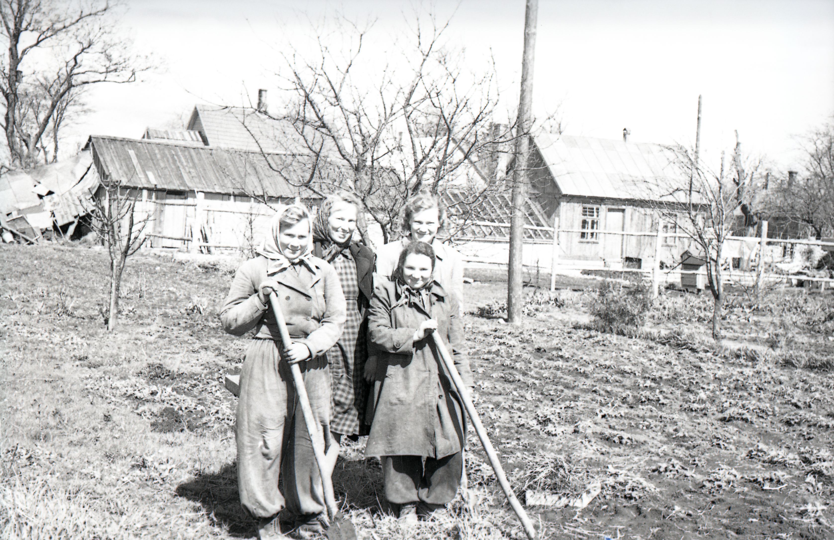 Heakorra ja Kommunaalettevõtete aiand Aia tänavas 1955.a.: töötajad fotograafile poseerimas