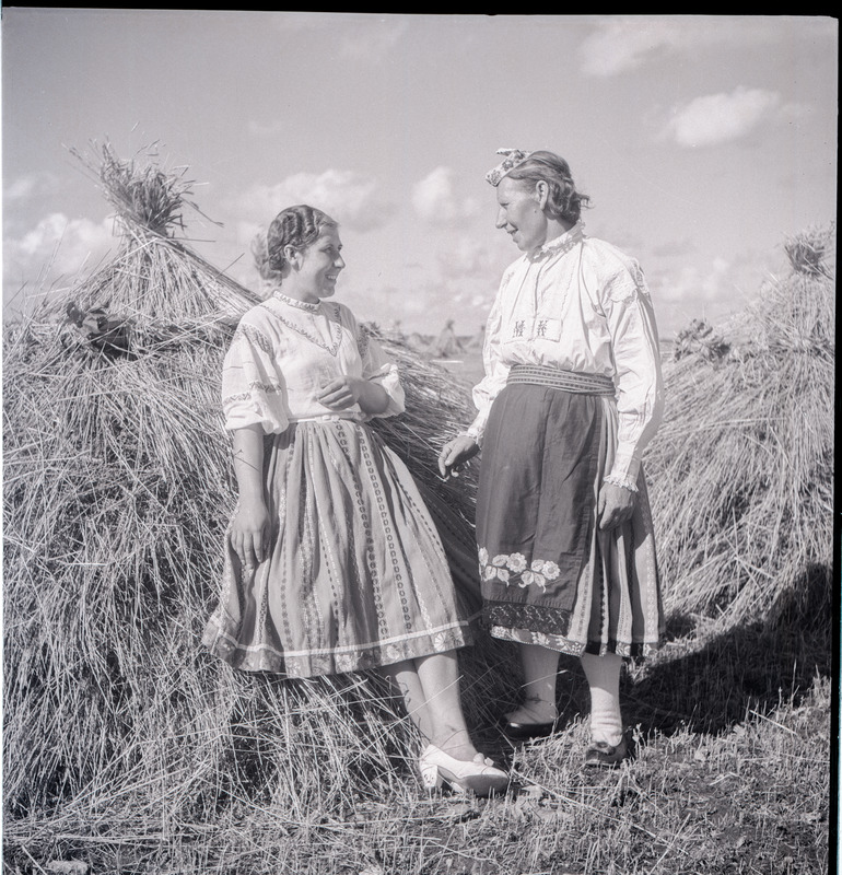 Kaks rahvariides Muhu naist rukkihakkide juures