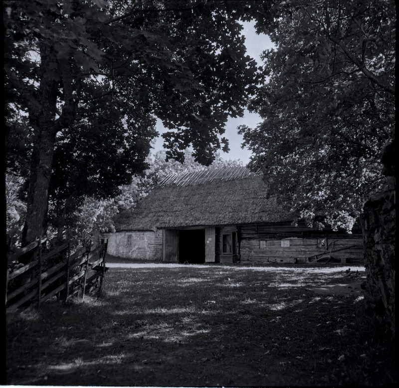 Mihkli Talumuuseum: rehemaja.