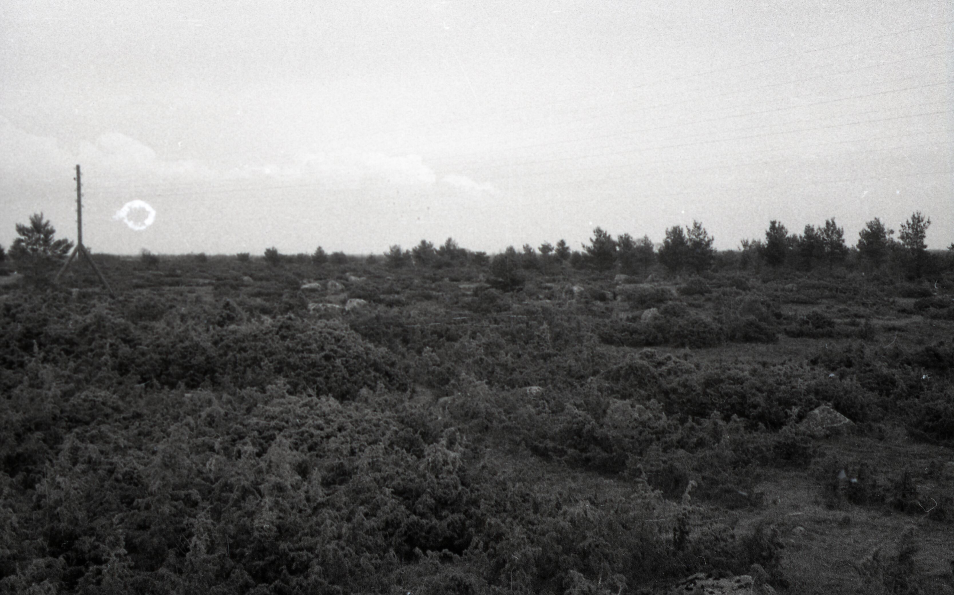 Karjamaa Saue-Putla küla lähistel