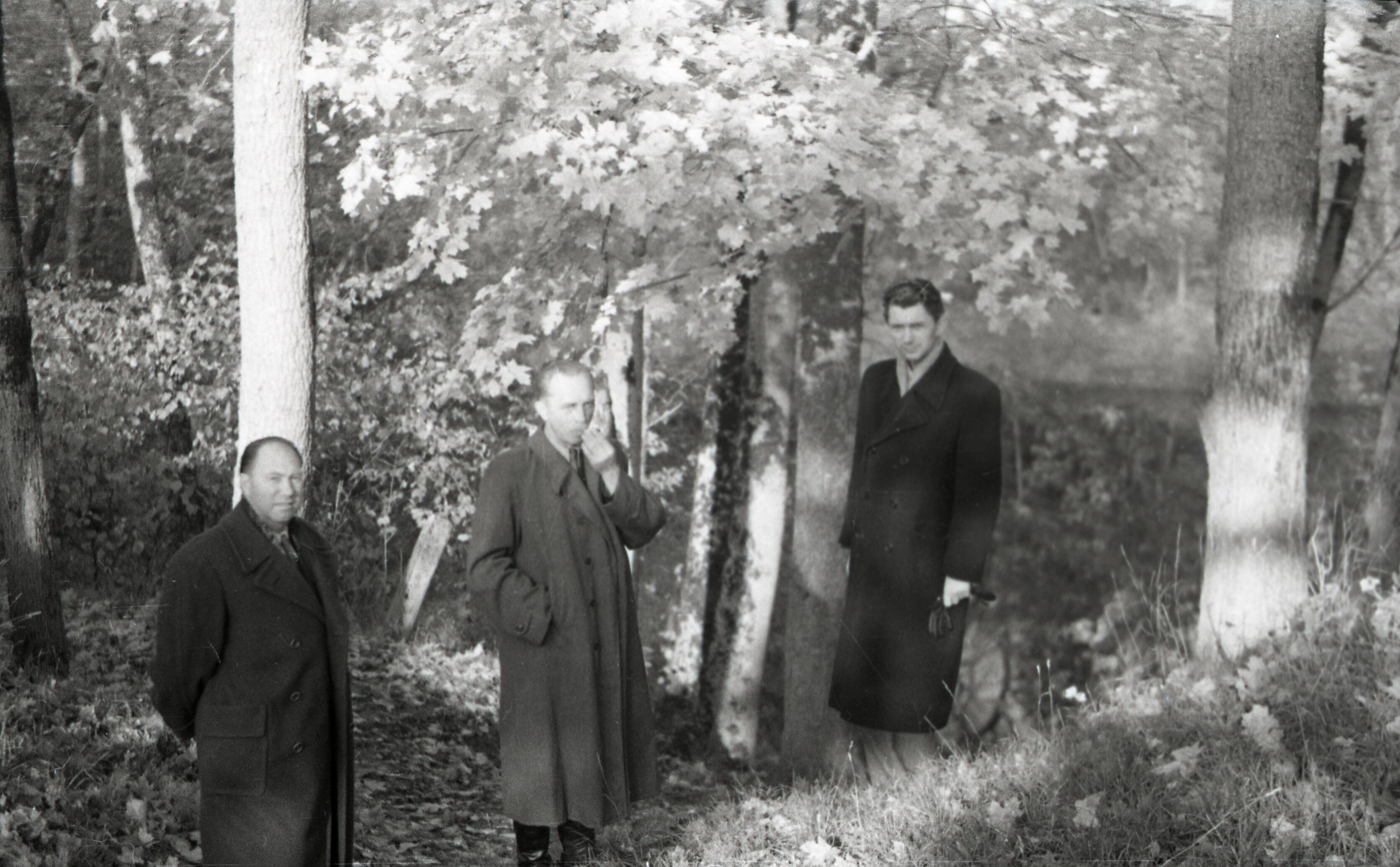 Muuseumitöötajate seminar Saaremaal 1956: Kaali järve ääres