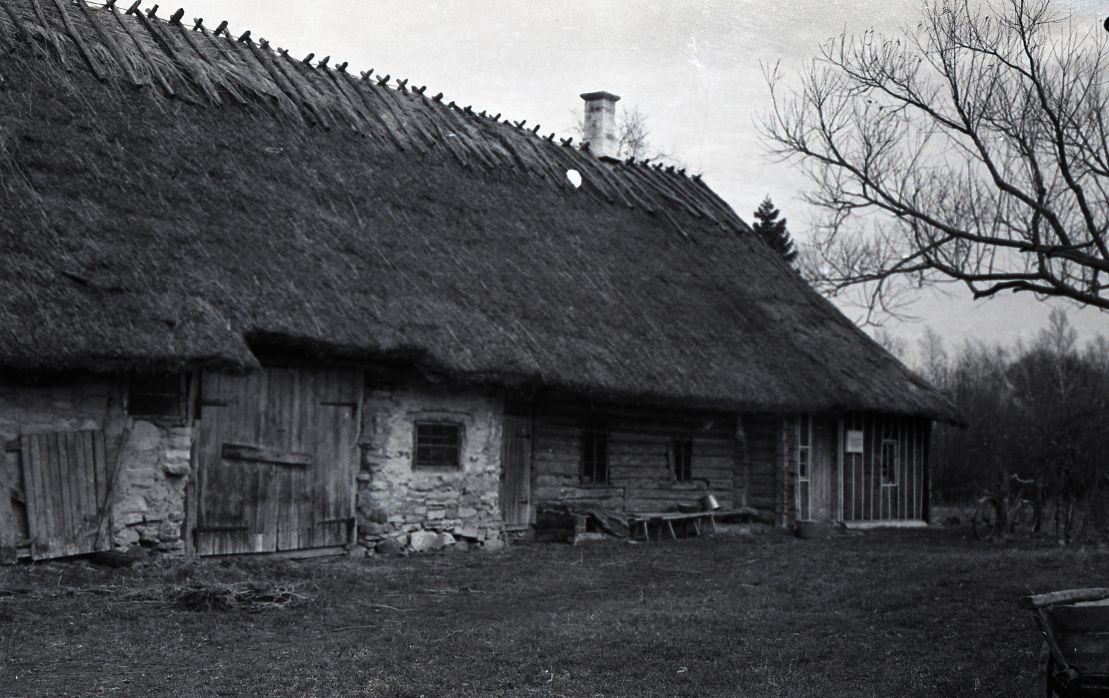 Aleksander Koidu sünnikodu