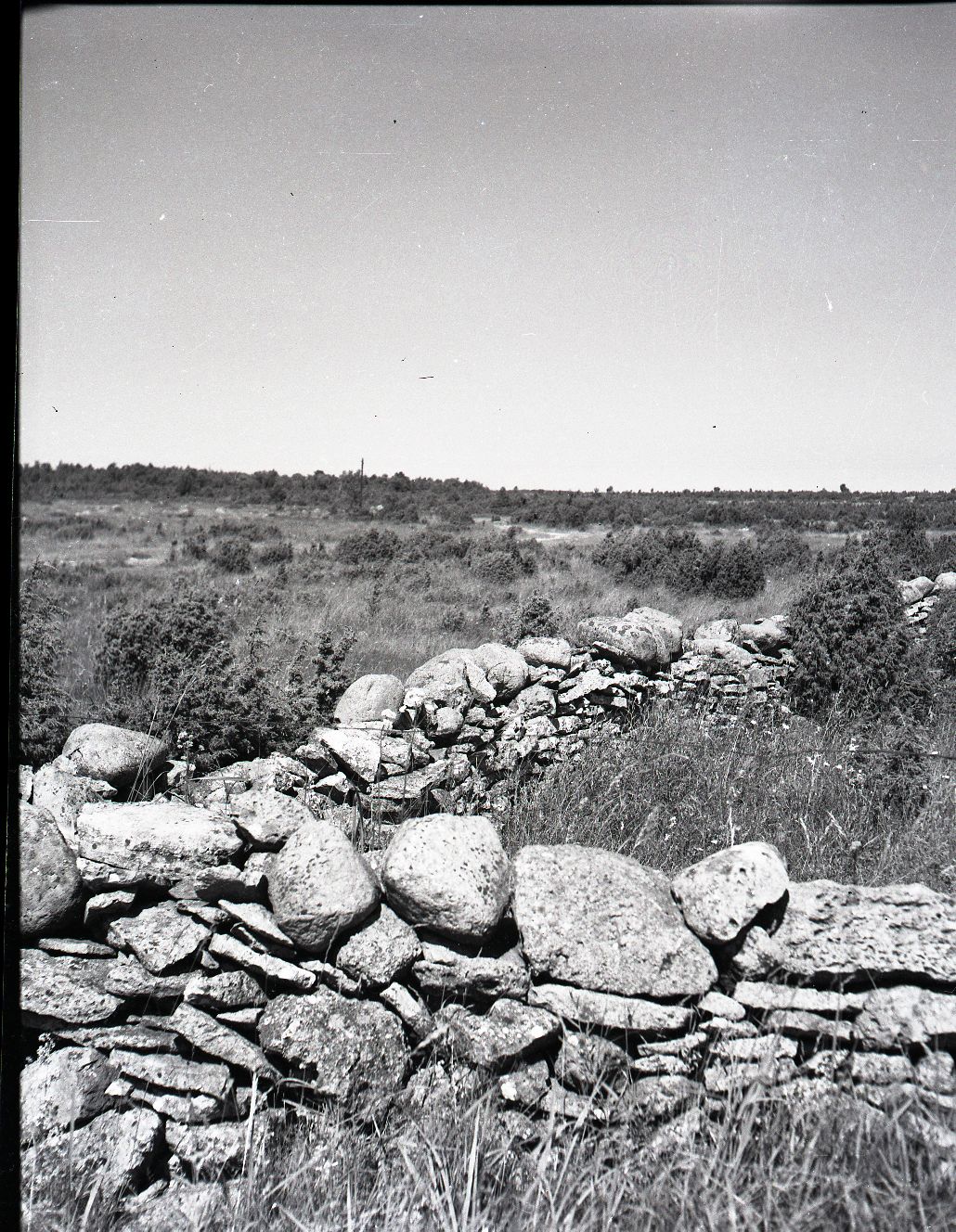 Saaremaa, kiviaed Lümanda lähedal