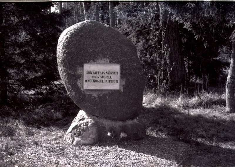 Teise maailmasõja mälestusmärk Viidul