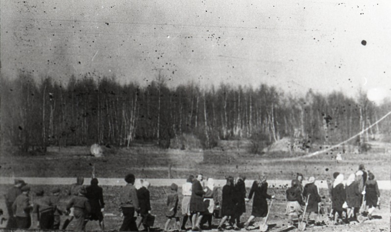 Elektriliini rajamise talgud Viktor Kingissepa nimelises kolhoosis