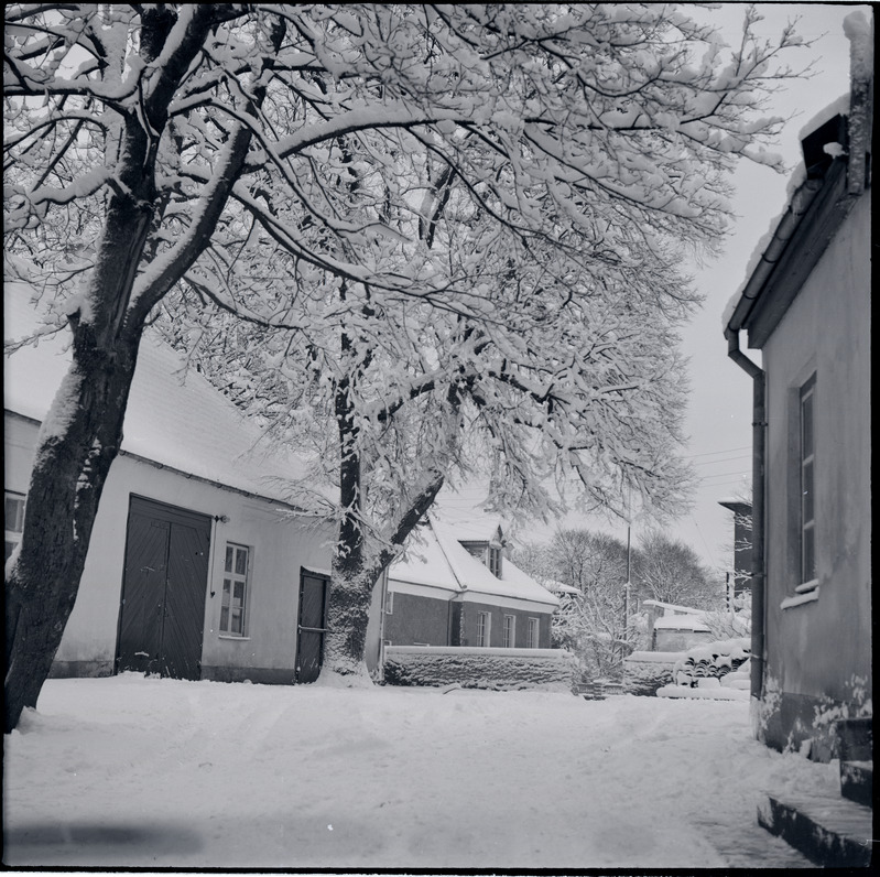 Tolli 4 ja 6, vaade õuele