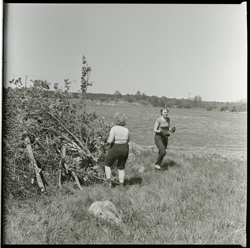 Võsatalgud Muhu maalinnal