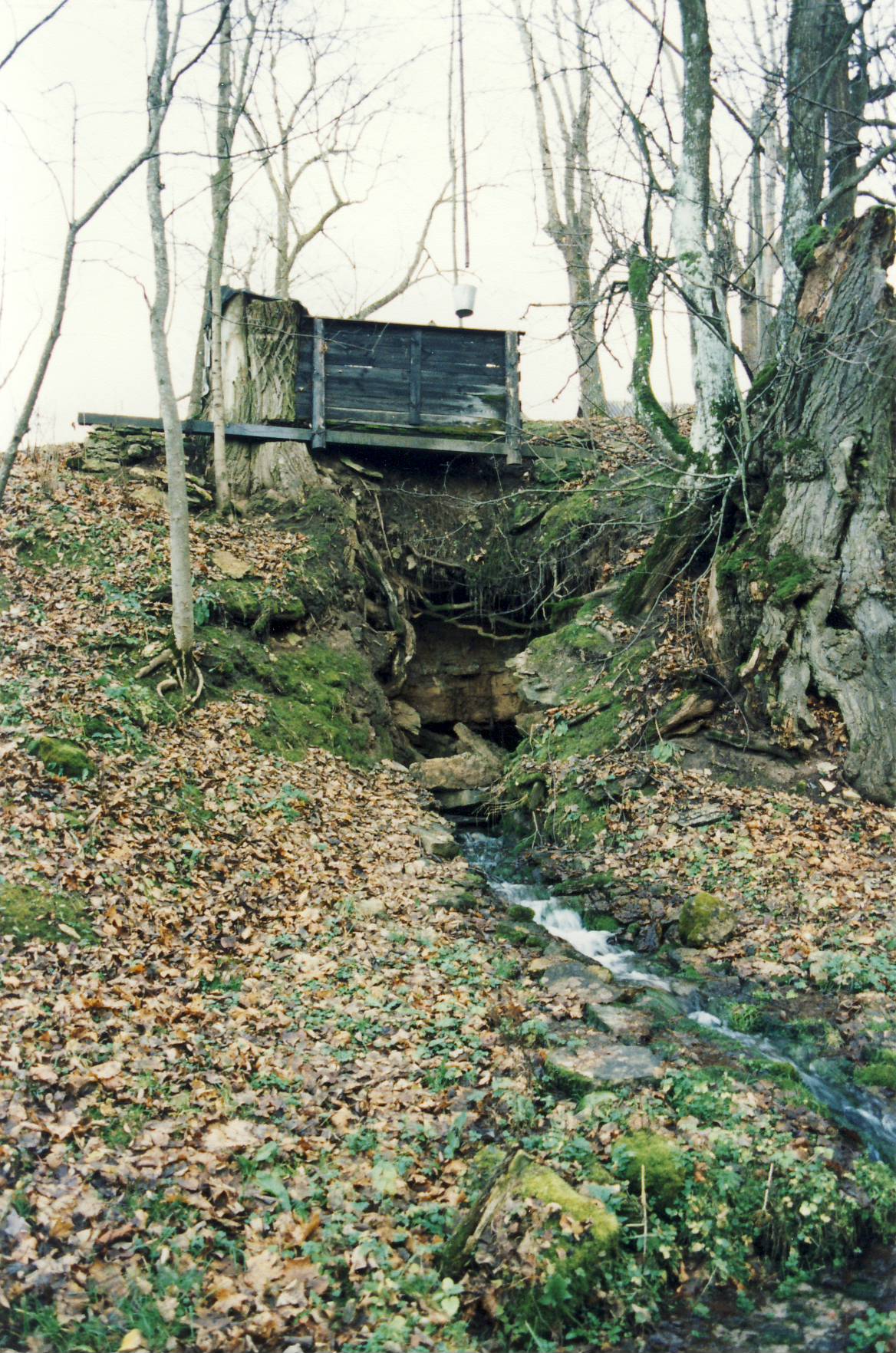 Kossolka läte.