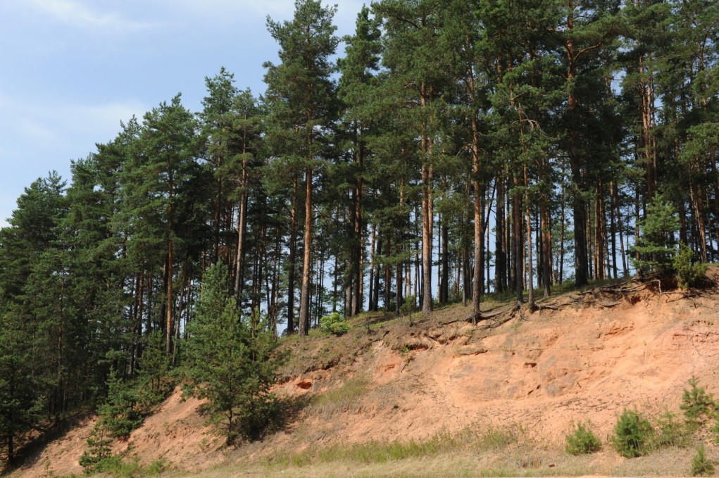 Petseri. Väiko-Paatskohka Piitre tsässon