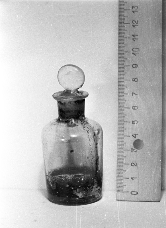 Apteegipudel