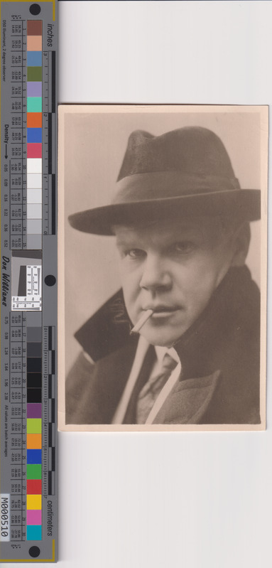 Maalikunstnik Villem Ormisson. 1930. a.