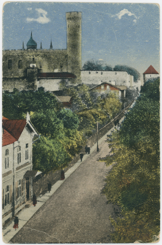 Tallinn, Falgi tee