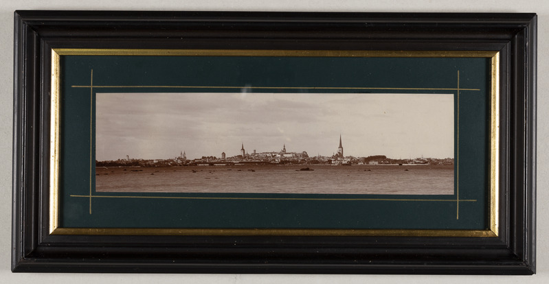 Tallinna vaade ca 1890