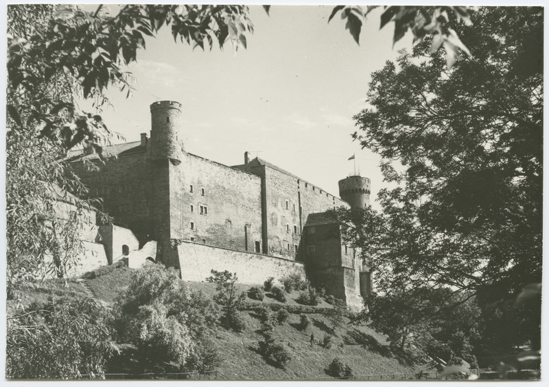 Toompea loss