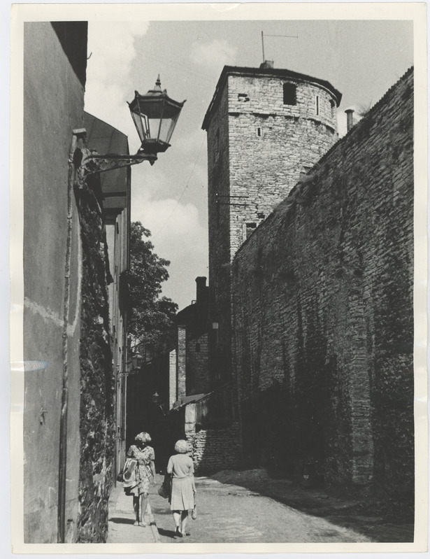 Müürivahe tänav jms