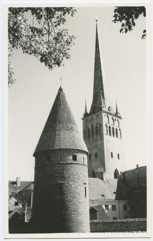 Grusbeke-tagune torn